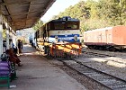DSC3094