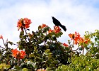 CostaRica Nicaragua