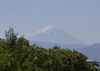 FUJI