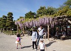 DSC00142