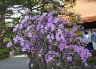 DSC00160