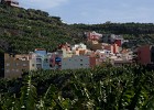 DSC02003