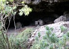 DSC02167