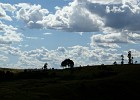 DSC00502.JPG