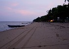 DSC0706