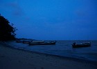 DSC0708