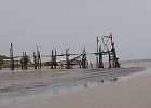 DSC0825