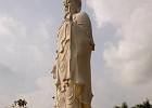 DSC2447
