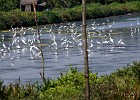 DSC1845
