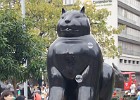 DSC05753