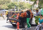 DSC05779