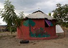 _DSC5224